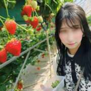 ヒメ日記 2025/03/25 07:04 投稿 Sera THE RICH