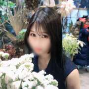 ヒメ日記 2025/09/29 21:25 投稿 Sera THE RICH