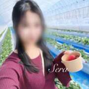 ヒメ日記 2026/02/23 20:17 投稿 Sera THE RICH