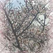 ヒメ日記 2025/04/02 18:00 投稿 南【人妻コース】 CLUB CANDY（鳥栖店）