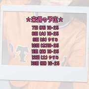 ヒメ日記 2025/07/05 16:02 投稿 もずく 神田はっち