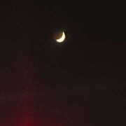 ヒメ日記 2025/07/08 16:58 投稿 もずく 神田はっち