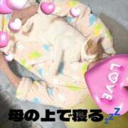 ヒメ日記 2024/12/11 12:06 投稿 宮森 西川口デッドボール