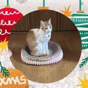 ヒメ日記 2024/12/12 14:18 投稿 宮森 西川口デッドボール