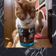 ヒメ日記 2025/01/22 12:14 投稿 宮森 西川口デッドボール