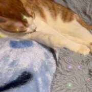 ヒメ日記 2025/02/14 11:22 投稿 宮森 西川口デッドボール