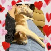 ヒメ日記 2025/04/05 11:40 投稿 宮森 西川口デッドボール