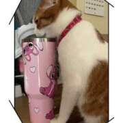 ヒメ日記 2025/05/04 07:28 投稿 宮森 西川口デッドボール