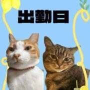 宮森 決定❣️ 西川口デッドボール