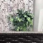 ヒメ日記 2026/01/25 01:14 投稿 りま One More奥様　蒲田店