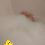 ヒメ日記 2025/01/22 13:51 投稿 あかり 池袋人妻アデージョ