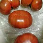 あかり こんにちは 池袋人妻アデージョ