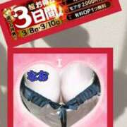 ヒメ日記 2025/03/10 12:06 投稿 なお モアグループ 土浦人妻花壇