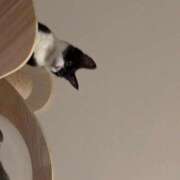 ヒメ日記 2024/12/14 13:56 投稿 みれい【ダイヤモンドの原石】 STELLA TOKYO－ステラトウキョウ－