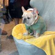 ヒメ日記 2025/02/09 14:52 投稿 みれい【ダイヤモンドの原石】 STELLA TOKYO－ステラトウキョウ－