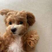 ヒメ日記 2025/02/12 15:47 投稿 みれい【ダイヤモンドの原石】 STELLA TOKYO－ステラトウキョウ－