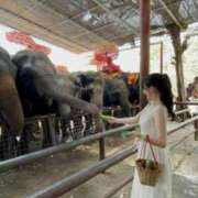 ヒメ日記 2025/05/11 19:53 投稿 みれい【ダイヤモンドの原石】 STELLA TOKYO－ステラトウキョウ－