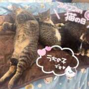 ヒメ日記 2025/02/21 16:15 投稿 日和【ひより】 丸妻 西船橋店