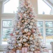 ヒメ日記 2024/12/24 11:25 投稿 もも 中洲秘密倶楽部