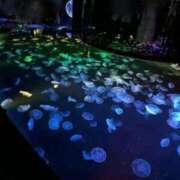 ヒメ日記 2025/04/05 16:05 投稿 もも 中洲秘密倶楽部