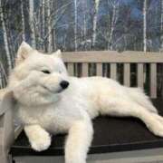 ヒメ日記 2025/05/14 08:20 投稿 もも 中洲秘密倶楽部