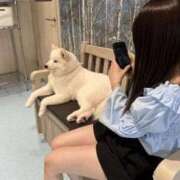 ヒメ日記 2025/07/11 17:45 投稿 もも 中洲秘密倶楽部