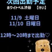 ヒメ日記 2024/11/02 13:42 投稿 けい ホワイトベル