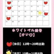 ヒメ日記 2024/12/10 23:49 投稿 けい ホワイトベル