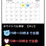 ヒメ日記 2025/01/01 20:12 投稿 けい ホワイトベル