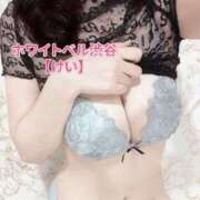 ヒメ日記 2025/02/15 11:42 投稿 けい ホワイトベル