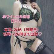 ヒメ日記 2025/02/16 08:02 投稿 けい ホワイトベル