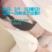 ヒメ日記 2025/03/09 08:12 投稿 けい ホワイトベル