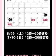 ヒメ日記 2025/03/14 23:22 投稿 けい ホワイトベル