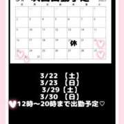 ヒメ日記 2025/03/17 15:42 投稿 けい ホワイトベル