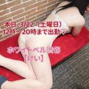 ヒメ日記 2025/03/22 08:12 投稿 けい ホワイトベル