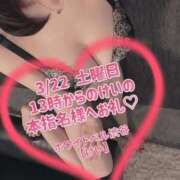 ヒメ日記 2025/03/22 15:42 投稿 けい ホワイトベル