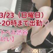 ヒメ日記 2025/03/23 08:02 投稿 けい ホワイトベル