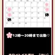 ヒメ日記 2025/03/30 19:02 投稿 けい ホワイトベル