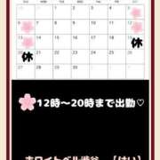 ヒメ日記 2025/04/06 18:22 投稿 けい ホワイトベル