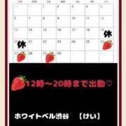 ヒメ日記 2025/04/13 14:16 投稿 けい ホワイトベル