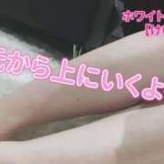 ヒメ日記 2025/04/26 09:03 投稿 けい ホワイトベル