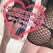 ヒメ日記 2025/04/30 01:22 投稿 けい ホワイトベル