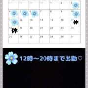 ヒメ日記 2025/05/05 14:03 投稿 けい ホワイトベル