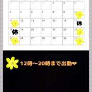 ヒメ日記 2025/05/11 13:02 投稿 けい ホワイトベル