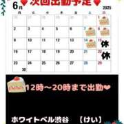 ヒメ日記 2025/05/23 16:34 投稿 けい ホワイトベル