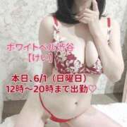 ヒメ日記 2025/06/01 08:02 投稿 けい ホワイトベル