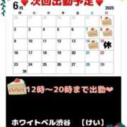 ヒメ日記 2025/06/03 01:22 投稿 けい ホワイトベル