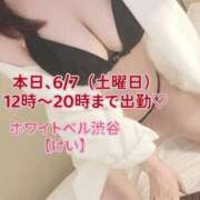 ヒメ日記 2025/06/07 08:16 投稿 けい ホワイトベル