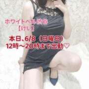 ヒメ日記 2025/06/08 08:12 投稿 けい ホワイトベル