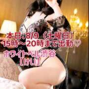 ヒメ日記 2025/08/09 10:03 投稿 けい ホワイトベル